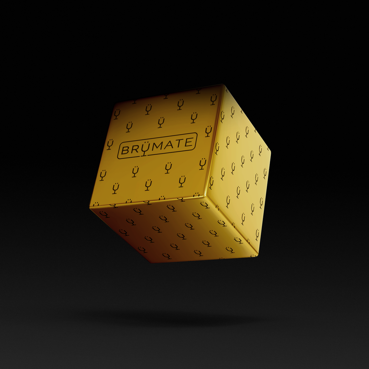 Premium Mystery Item ($39-70 Value) - Road Carry